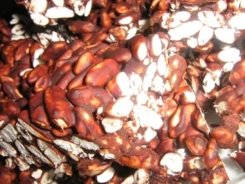 Choko Crisp - Rezept