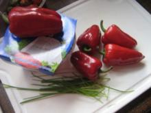 Babypaprika gefüllt - Rezept