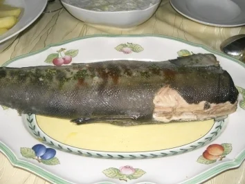 Wildlachs mit Kräutersoße - Rezept