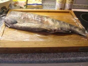 Wildlachs mit Kräutersoße - Rezept - Bild Nr. 2