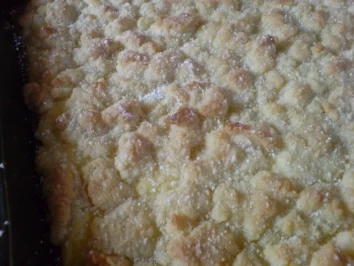 Rezept: Puddingkuchen Bild Nr. 15 Puddingkuchen - Rezept - Bild Nr. 15