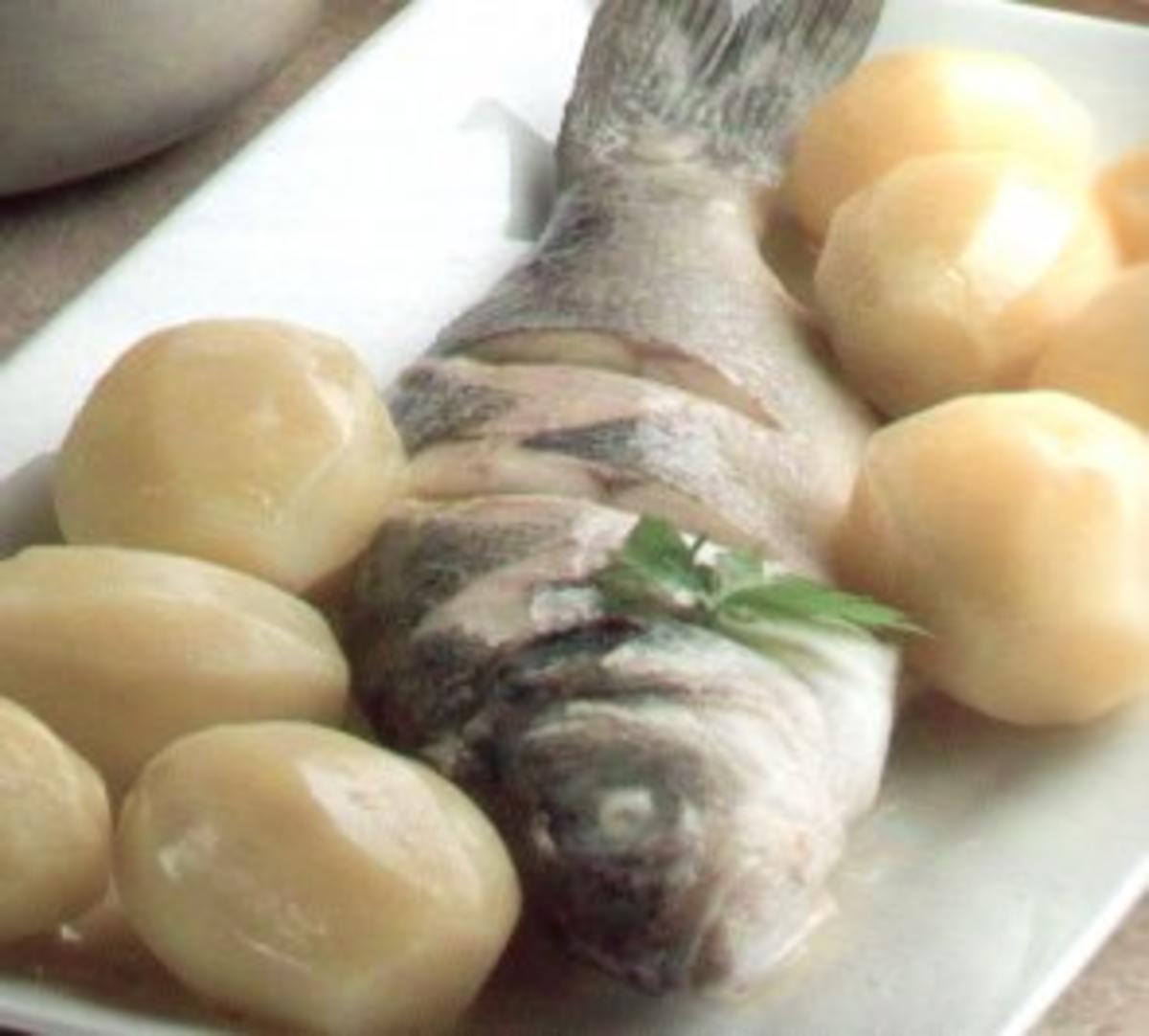 Bilder für fisch seebarsch im wein - Rezept