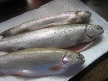 Schwarzwaldforelle Müllerin - Rezept - Bild Nr. 2