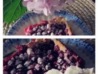 Johannisbeerkuchen mit Quarkguß - Rezept