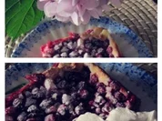 Johannisbeerkuchen mit Quarkguß - Rezept