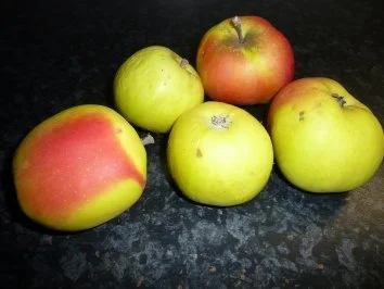 Rezept: Apfelkuchen - gedeckt Bild Nr. 3 Apfelkuchen - gedeckt - Rezept - Bild Nr. 3