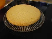 Rezept: Obstkuchenboden Obstkuchenboden - Rezept