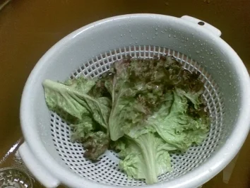 Feiner Nudelsalat - Rezept - Bild Nr. 5