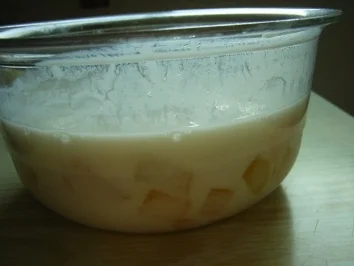 Mango-Joghurt - Rezept