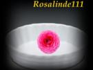 Himbeeren als Gratin - Rezept