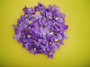 Kandierte Veilchen - Rezept