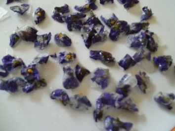 Kandierte Veilchen - Rezept - Bild Nr. 3