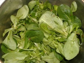 Rezept: Ochsenfetzen mit Feldsalat Bild Nr. 2 Ochsenfetzen mit Feldsalat - Rezept - Bild Nr. 2