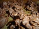 Crosse Schokies - Rezept