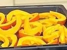 Rezept: Kürbis vom Blech Kürbis vom Blech - Rezept