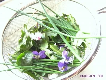 Wachteleier auf Veilchen-Löwenzahnsalat - Rezept - Bild Nr. 4