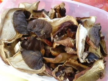 Überbackene herzhafte Rösti - Rezept - Bild Nr. 3