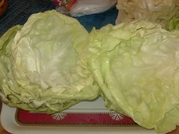 Rezept: Gefüllte Weißkohlröllchen, Malfoof mechsche Bild Nr. 2 Gefüllte Weißkohlröllchen, Malfoof mechsche - Rezept - Bild Nr. 2