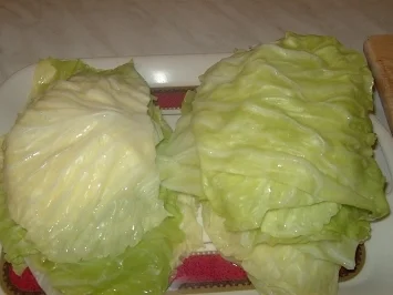 Rezept: Gefüllte Weißkohlröllchen, Malfoof mechsche Bild Nr. 3 Gefüllte Weißkohlröllchen, Malfoof mechsche - Rezept - Bild Nr. 3