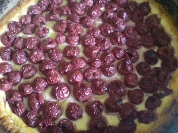 Rezept: Kirsch-Schmand-Kuchen Bild Nr. 6 Kirsch-Schmand-Kuchen - Rezept - Bild Nr. 6