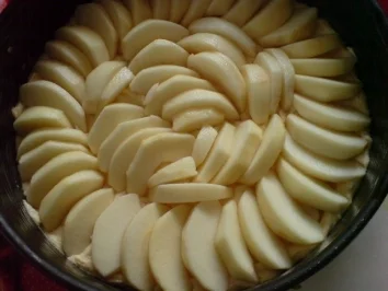 Rezept: Apfel-Orangen-Torte Bild Nr. 13 Apfel-Orangen-Torte - Rezept - Bild Nr. 13