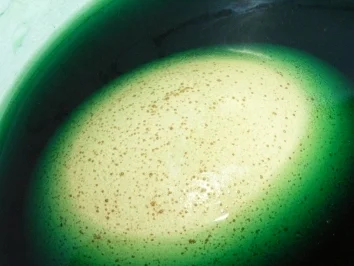 Saison, Ostern: Bunte Frühstückseier - Rezept - Bild Nr. 6