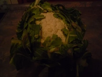 Blumenkohl Beurre Polonaise - Rezept - Bild Nr. 2