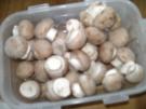 Gegrillte Champignons - Rezept