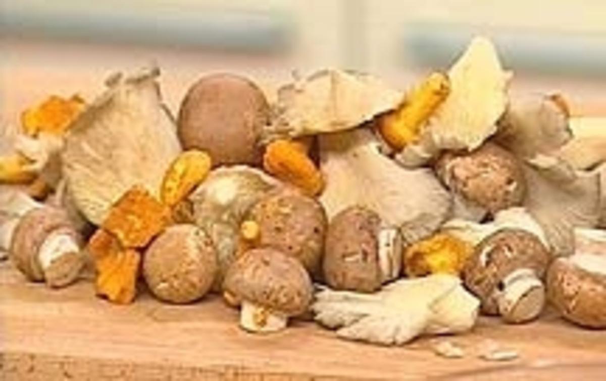 Schnelle Pilzsuppe - Rezept Eingereicht von Schmeckt nicht gibt's nicht
