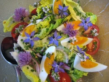 Salat-Vielfalt ... - Rezept - Bild Nr. 38