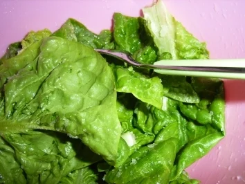 Rezept: Kopf zum Essen Kopf zum Essen - Rezept