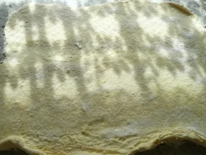 Rezept: Apfel-Rosettenkuchen Bild Nr. 2 Apfel-Rosettenkuchen - Rezept - Bild Nr. 2