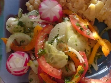 Rezept: Farbiger Gurkensalat Bild Nr. 3 Farbiger Gurkensalat - Rezept - Bild Nr. 3