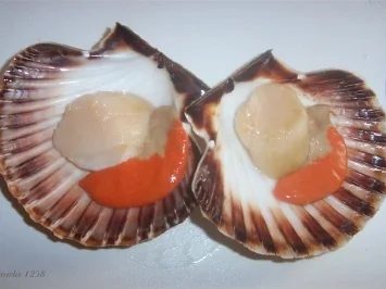 Gratinierte Jacobsmuscheln - Rezept - Bild Nr. 5