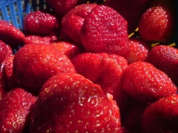 Tortenboden ohne Fett - Schneller Biskuitboden - Rezept - Bild Nr. 7