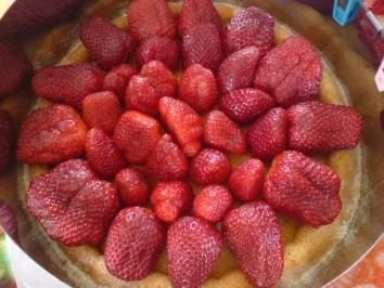 Tortenboden ohne Fett - Schneller Biskuitboden - Rezept - Bild Nr. 10