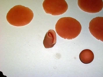 Marzipanrose - Rezept - Bild Nr. 3