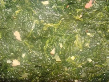 Rezept: Gemüse : - Junger Span. Blattspinat- Bild Nr. 2 Gemüse : - Junger Span. Blattspinat- - Rezept - Bild Nr. 2