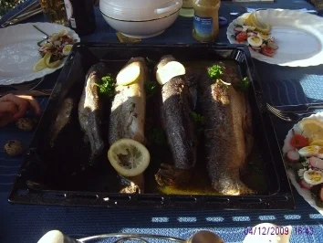 Rezept: Forelle aus der Röhre Bild Nr. 5 Forelle aus der Röhre - Rezept - Bild Nr. 5