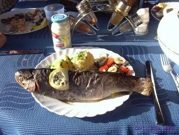 Rezept: Forelle aus der Röhre Forelle aus der Röhre - Rezept