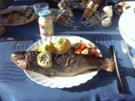 Forelle aus der Röhre - Rezept