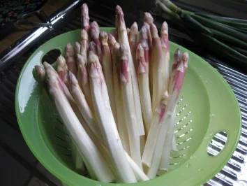 Rezept: Gabi's Spargel-Gratin Bild Nr. 2 Gabi's Spargel-Gratin - Rezept - Bild Nr. 2