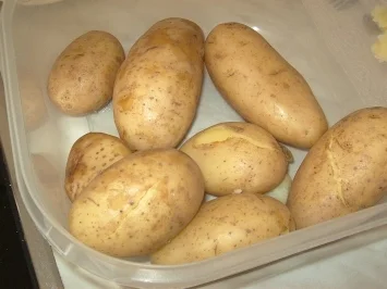 Rezept: Hackplätzchen im Kartoffelteig Bild Nr. 2 Hackplätzchen im Kartoffelteig - Rezept - Bild Nr. 2