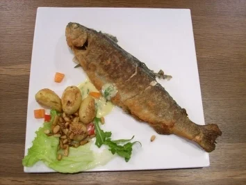 Gebratene Forelle mit Basilikum-Schaum an Salatblätter-Kartoffeln - Rezept