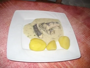 Aalsuppe - Rezept