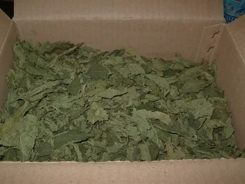 Rezept: Miloucheje ~ Mooskrauteintopf Bild Nr. 2 Miloucheje ~ Mooskrauteintopf - Rezept - Bild Nr. 2