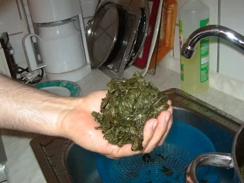 Rezept: Miloucheje ~ Mooskrauteintopf Bild Nr. 4 Miloucheje ~ Mooskrauteintopf - Rezept - Bild Nr. 4