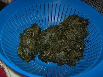 Rezept: Miloucheje ~ Mooskrauteintopf Bild Nr. 5 Miloucheje ~ Mooskrauteintopf - Rezept - Bild Nr. 5