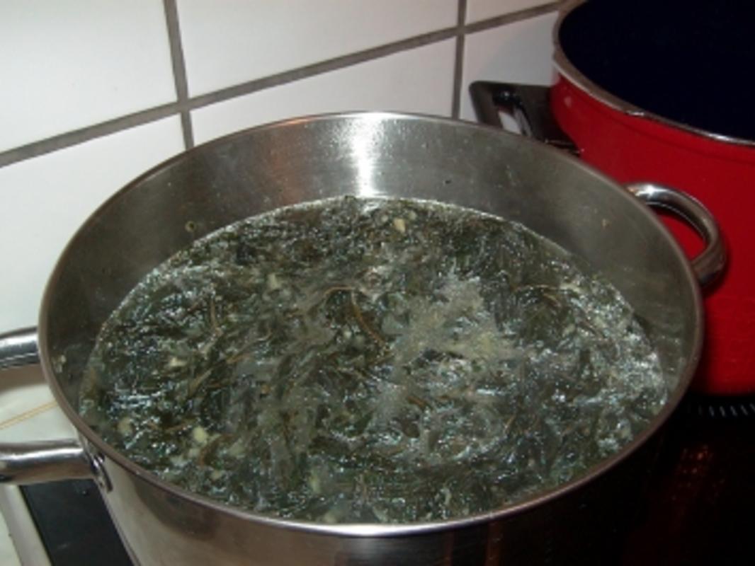 Miloucheje ~ Mooskrauteintopf - von Andrea1607 Miloucheje ~ Mooskrauteintopf - von Andrea1607