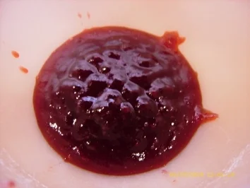 Preiselbeerflammeri - Rezept - Bild Nr. 8